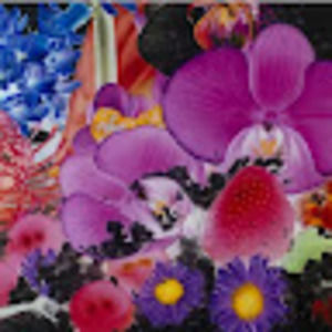 Meet your Posher, Eriselda